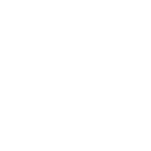 Soft closure system