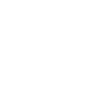 wearable robot